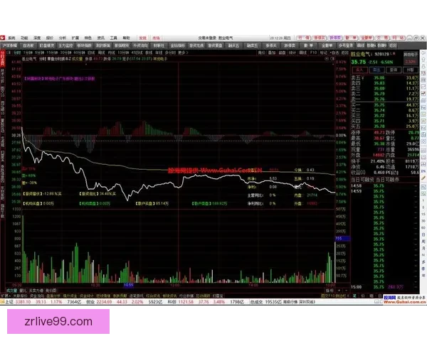 体育竞猜数据分析与赛前走势研判结合胜负概率提升策略全解析